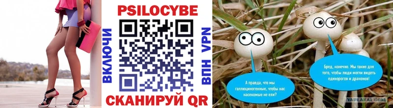 Галлюциногенные грибы Psilocybine cubensis  Купить  Курчалой 