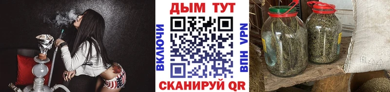 Купить закладки  Курчалой  Бошки Шишки планчик 